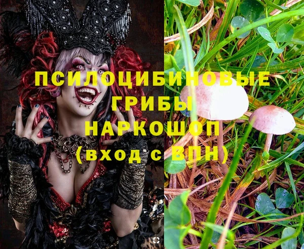 соль ск Балахна