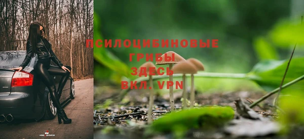 соль ск Балахна