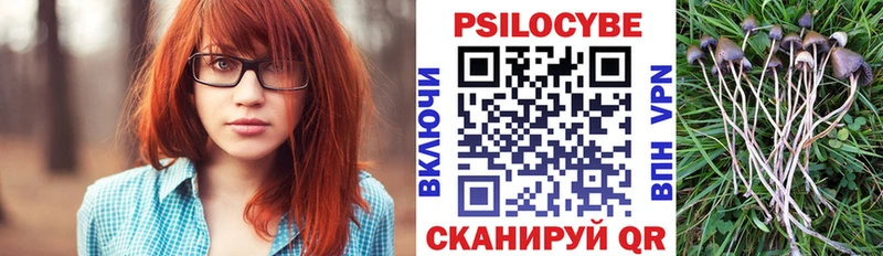 купить   Краснокаменск  Галлюциногенные грибы ЛСД 